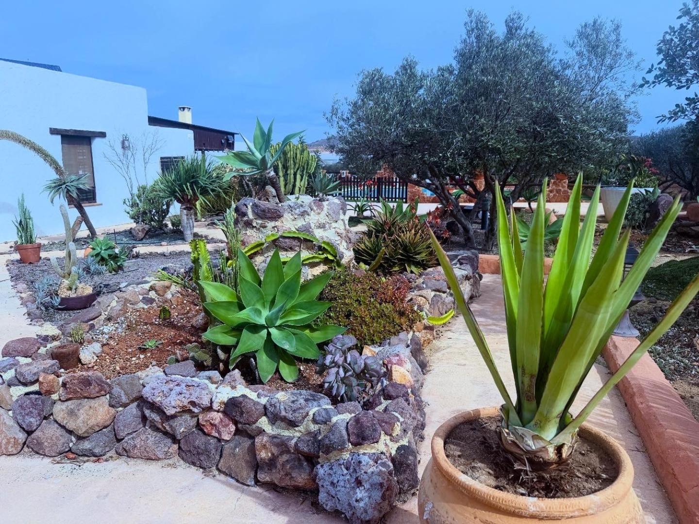 Olivares Rural Los Albaricoques Ngoại thất bức ảnh