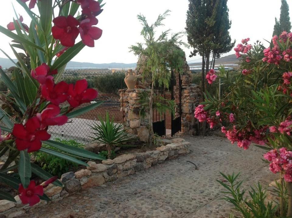 Olivares Rural Los Albaricoques Ngoại thất bức ảnh